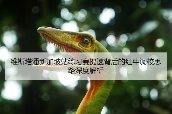 维斯塔潘新加坡站练习赛提速背后的红牛调校思路深度解析